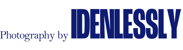 IDENLESSLY Logo